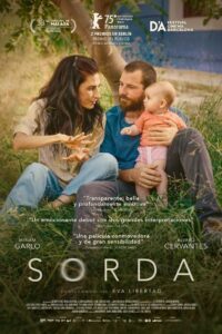 Plakat filmu Dźwięki miłości
